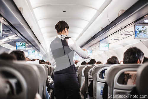 Image of Interior of airplane with passengers on seats and stewardess in uniform walking the aisle, serving people. Commercial economy flight service concept.