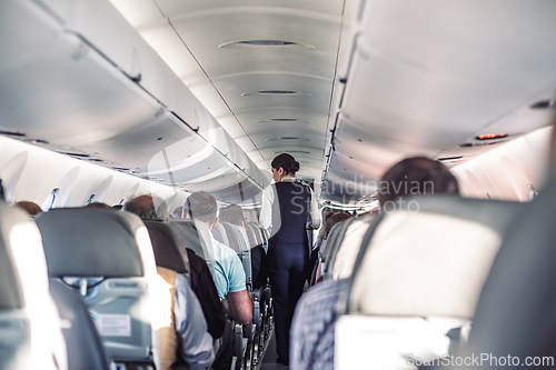 Image of Interior of airplane with passengers on seats and stewardess in uniform walking the aisle, serving people. Commercial economy flight service concept.