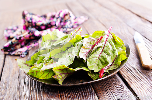 Image of Salad leaves. Raw green leaf vegetables. Mangold leaves on plate