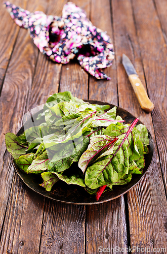 Image of Salad leaves. Raw green leaf vegetables. Mangold leaves on plate