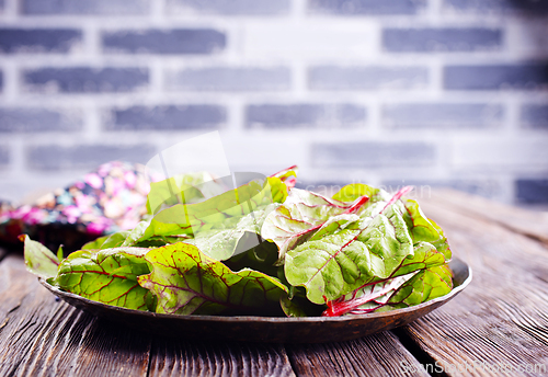 Image of Salad leaves. Raw green leaf vegetables. Mangold leaves on plate