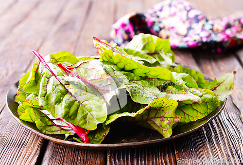Image of Salad leaves. Raw green leaf vegetables. Mangold leaves on plate
