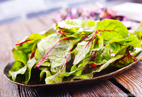 Image of Salad leaves. Raw green leaf vegetables. Mangold leaves on plate