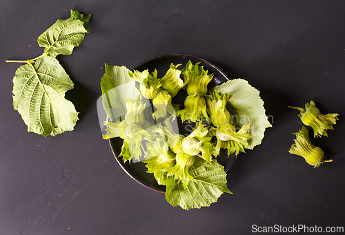 Image of hazelnuts on black table