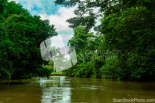 Image of Landscape of beautiful channel, Refugio de Vida Silvestre Cano Negro, Costa Rica wilderness landscape.