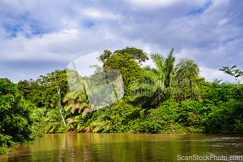 Image of Landscape of beautiful channel, Refugio de Vida Silvestre Cano Negro, Costa Rica wilderness landscape.