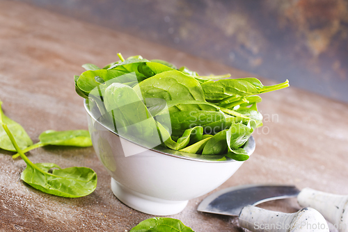 Image of Heap of baby spinach leaves on a table