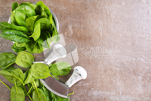 Image of Heap of baby spinach leaves on a table