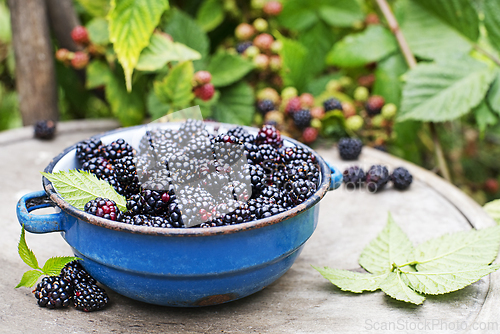 Image of Blackberry