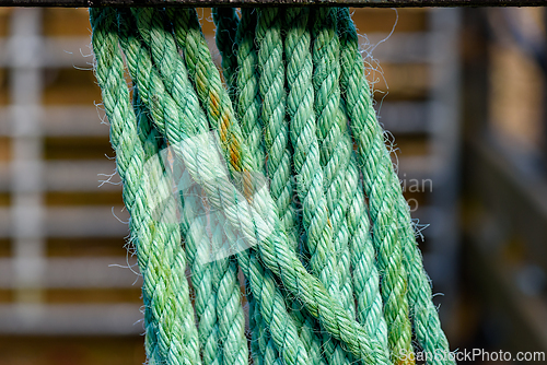Image of Twisted green ropes hanging against a rustic background in an ou