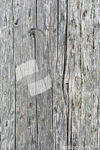 Image of Detailed texture of weathered wood showcasing natural patterns i