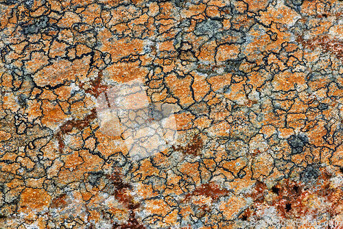 Image of Vibrant orange and gray rock surface showcasing intricate patter