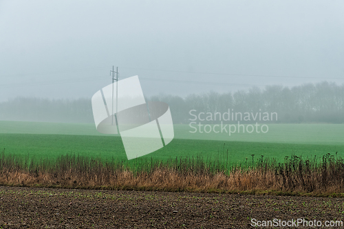 Image of Fog blankets green fields and distant power lines in a serene ru