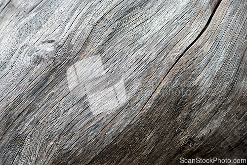 Image of Weathered wood surface with intricate grain patterns and texture