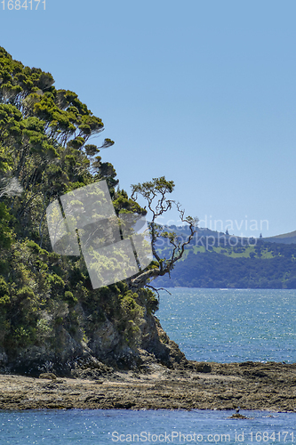 Image of Bay of Islands