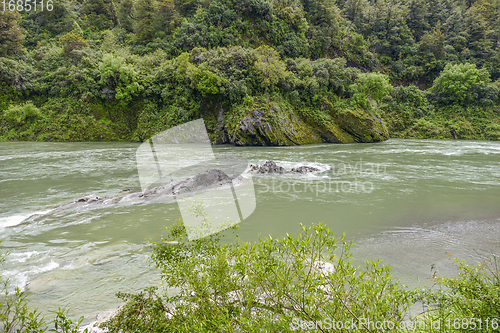 Image of Buller River in New Zealand
