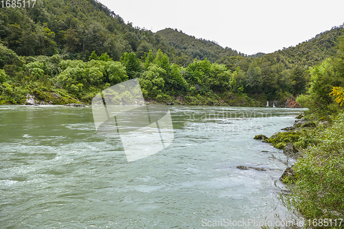 Image of Buller River in New Zealand
