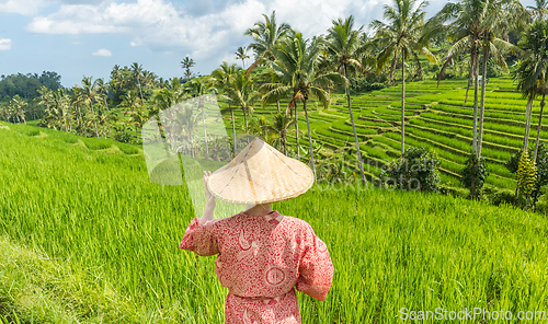Image of Relaxed fashionable caucasian woman wearing red asian style kimono and traditional asian paddy hat looking at beautiful green rice fields and terraces on Bali island