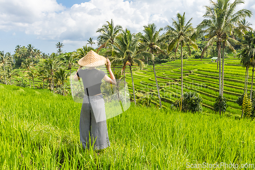 Image of Relaxed fashionable caucasian female tourist wearing small backpack and traditional asian paddy hat looking at beautiful green rice fields and terraces on Bali island