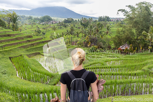 Image of Caucasian female tourist wearing small backpack looking at beautiful green rice fields and terraces of Jatiluwih on Bali island