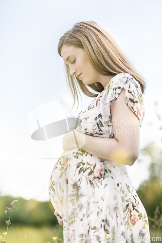 Image of Beautiful pregnant woman in white summer dress in meadow full of yellow blooming flowers.