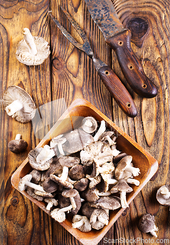 Image of Beautiful edible forest mushroom in bowl