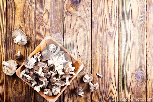 Image of Beautiful edible forest mushroom in bowl