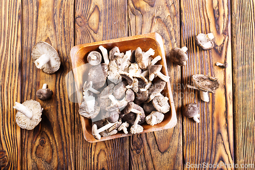 Image of Beautiful edible forest mushroom in bowl