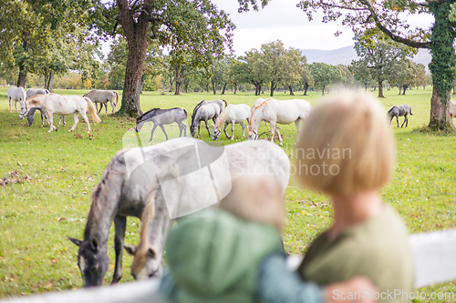 Image of Rear view of woman and child observe horses grazing in a green rural field