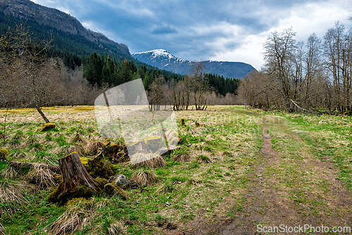 Image of Scenic mountain meadow with a winding path under a cloudy sky in