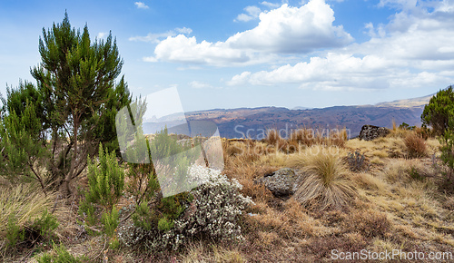 Image of Semien or Simien Mountains, Ethiopia, Africa