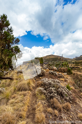 Image of Semien or Simien Mountains, Ethiopia, Africa