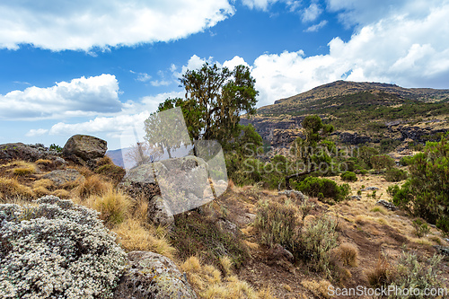 Image of Semien or Simien Mountains, Ethiopia, Africa