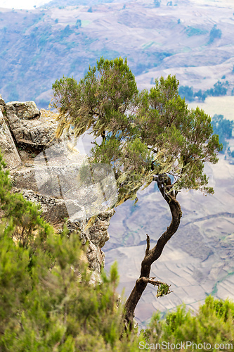 Image of Semien or Simien Mountains, Ethiopia, Africa