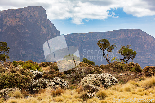 Image of Semien or Simien Mountains, Ethiopia, Africa