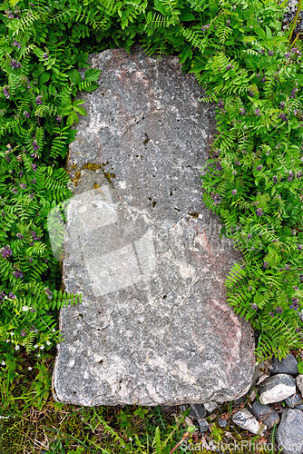 Image of Gray stone slab surrounded by green foliage and small flowers in