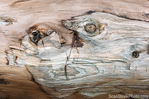 Image of Detailed close-up of weathered wood surface showcasing unique te