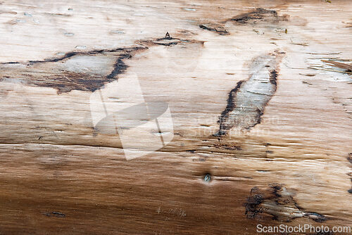 Image of Close-up view of textured wood surface showcasing natural patter