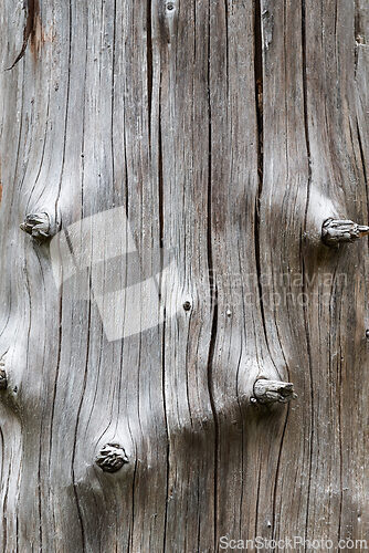 Image of Detailed wood texture showcasing knots and grooves under natural