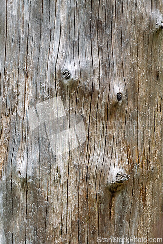 Image of Beautifully weathered wooden surface showcasing natural textures
