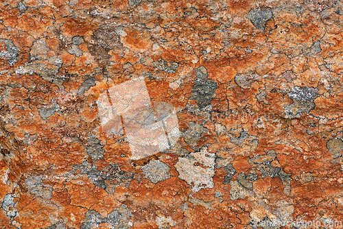 Image of Detailed textured rock surface showcasing vibrant orange and gra
