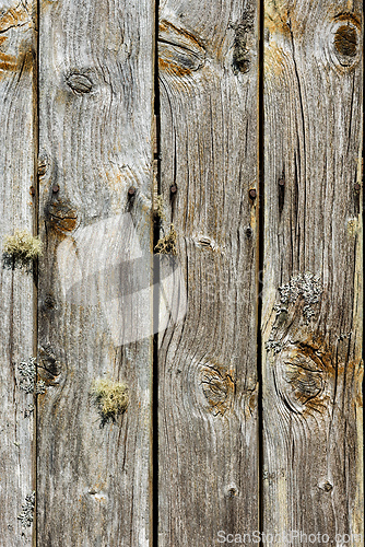 Image of Weathered wooden planks display natural textures and colors in a