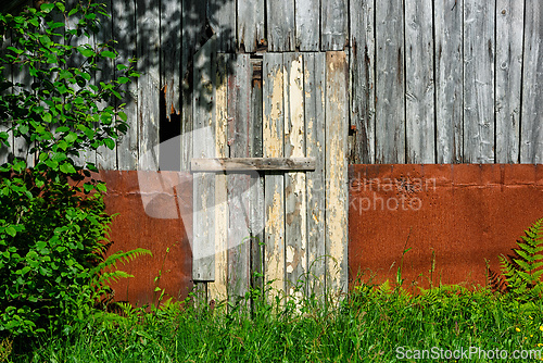 Image of Rustic wooden door in a weathered barn surrounded by green grass
