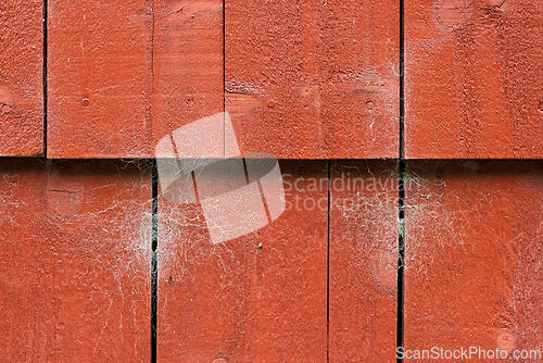 Image of Detailed texture of weathered red wooden planks with spider webs