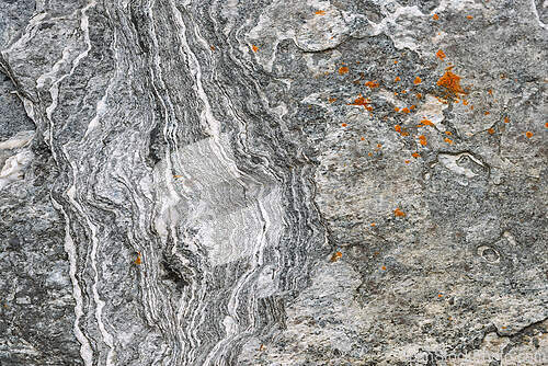 Image of Detailed texture of sedimentary rock with unique patterns and or
