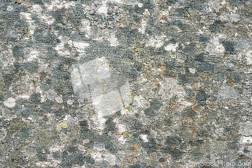 Image of Textured surface of weathered stone with lichen and moss patches