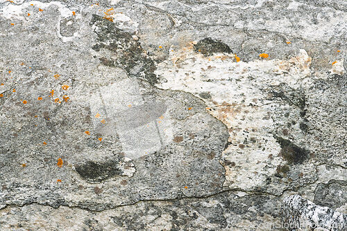 Image of Textured surface of weathered rock with orange lichen patterns i