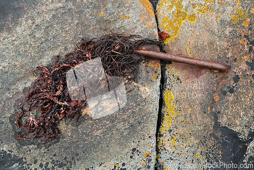 Image of Rusty metal rod and seaweed tangled on a rocky surface are highl