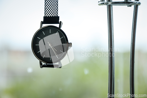 Image of A close-up of a minimalist wristwatch in a plant-filled room, showcasing its design and the softness of natural light filtering through