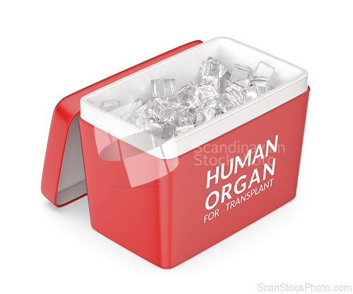 Image of Human organ transport box